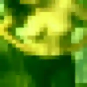 Emma, 21 ans, en ligne à Acheville pour une rencontre coquine
