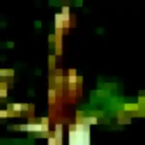 Rania, 31 ans, connectée à Agde pour un plan cul