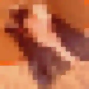Photo perso de Manon, 24 ans à Aguessac - rencontre coquine