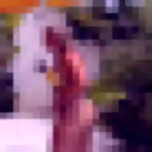 Photo privée de Elia, 26 ans à Ajaccio - rencontre coquine