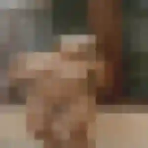 Photo privée de Sarah, 25 ans à Alby-sur-Chéran - rencontre coquine