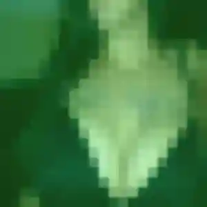 Profil de Enora à Alexain (26 ans) - plan cul gratuit