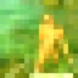 Apolline (20 ans) à Allennes-les-Marais attend un plan cul maintenant