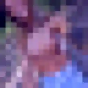 Photo de Luna à Almenêches (25 ans) - plan cul anonyme