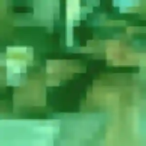 Photo de Zara à Alvimare (26 ans) - plan cul anonyme