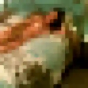 Photo de Giulia à Ambarès-et-Lagrave (20 ans) - plan cul anonyme