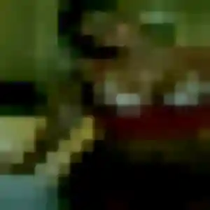 Photo exclusive de Zoe, 24 ans à Ambérieux-en-Dombes - rencontre coquine