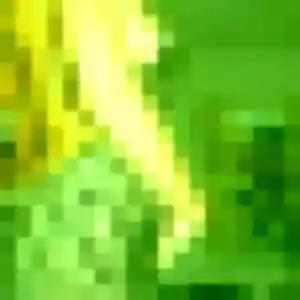 Belle Anissa, 19 ans à Andouillé-Neuville - la contacter