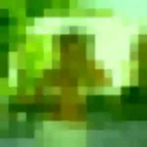 Apolline, 35 ans, dispo pour plan cul à Andrézieux-Bouthéon