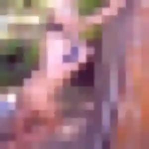 Elisa, femme de 22 ans propose plan cul à Apt