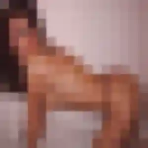 Photo de Elina à Argenteuil (19 ans) - plan cul gratuit
