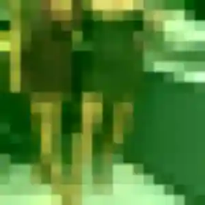 Rencontre Noemi, 19 ans à Assieu gratuitement