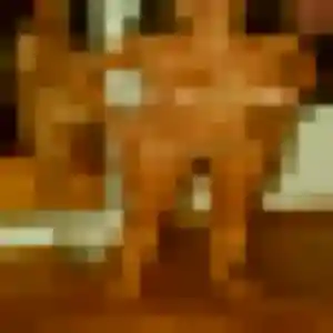 Apolline, 27 ans, connectée à Athies pour une rencontre coquine