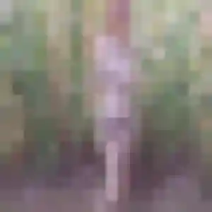 Photo sexy de Safiya, 31 ans à Aubais - rencontre coquine