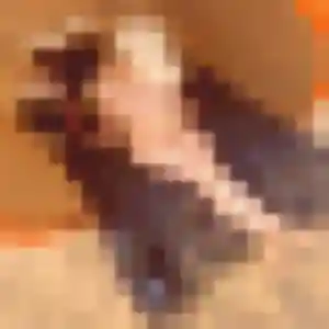 Leana, 35 ans, connectée à Aubiet pour une rencontre coquine