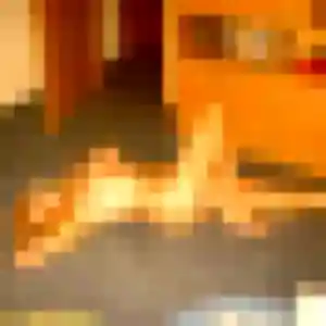 Heloise, 21 ans, connectée à Aulnay-sur-Mauldre pour une rencontre coquine