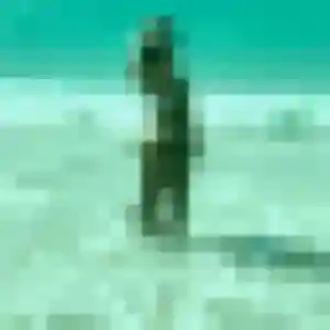 Sexy Capucine, 33 ans à Aulnoye-Aymeries - découvrir son profil