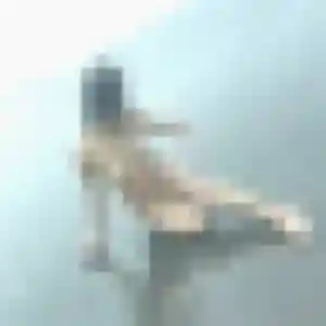 Profil de Lison à Auray (33 ans) - plan cul gratuit