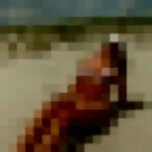 Selma, 19 ans, en ligne à Aureilhan pour une rencontre coquine