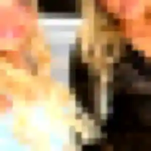 Photo perso de Sarah, 31 ans à Aveize - rencontre coquine