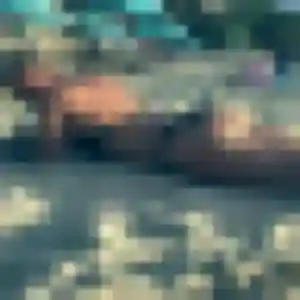 Photo de Fanny à Ayron (21 ans) - plan cul discret