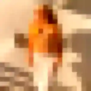 Photo sexy de Violette, 19 ans à Bagneaux-sur-Loing - rencontre coquine