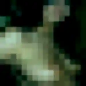 Photo de Alix à Bar-le-Duc (26 ans) - plan cul anonyme