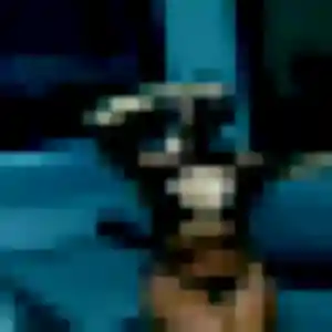 Marine, fille de 24 ans veut plan cul à Barc