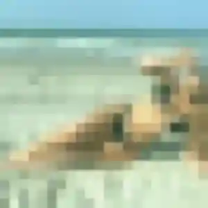 Mia de Barr, 26 ans - plan cul en toute liberté