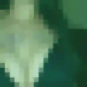 Profil de Enora à Baziège (32 ans) - plan cul anonyme