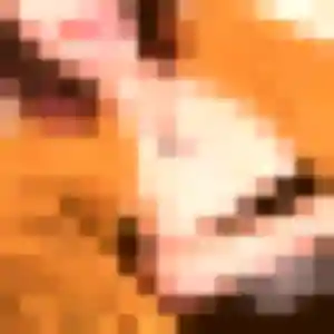 Photo de Noemie à Beaumont (24 ans) - plan cul anonyme