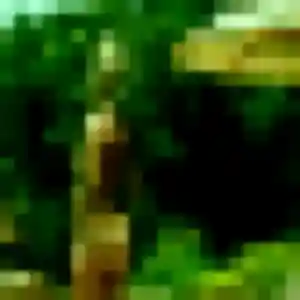 Photo de Rania à Beaumont-les-Nonains (34 ans) - plan cul anonyme