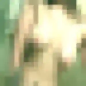 Photo de Romane à Beaumont Saint-Cyr (30 ans) - plan cul anonyme