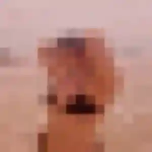 Rejoins Lucie, 20 ans à Beauvois-en-Cambrésis gratuitement