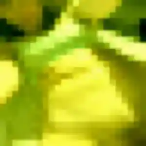 Photo de Elena à Béthune (24 ans) - plan cul sans inscription