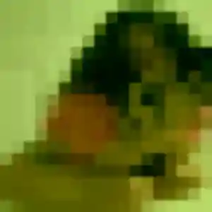 Alina, 23 ans, cherche un plan cul à Bézu-Saint-Germain