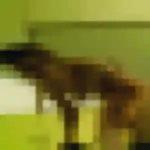 Photo perso de Amandine, 33 ans à Bilieu - rencontre sans lendemain