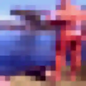 Photo de Zelie à Boissy-l'Aillerie (27 ans) - plan cul sans inscription