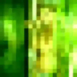 Belle Celia, 31 ans à Bonsecours - voir sa photo