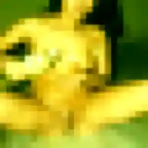 Manon, 23 ans, veut un plan cul à Bonsecours