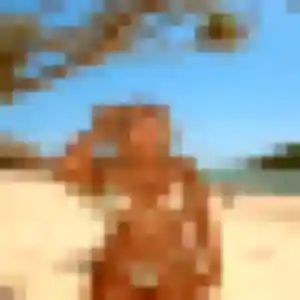 Photo de Charlene à Bootzheim (33 ans) - plan cul discret