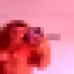 Alix, 25 ans, disponible à Bosville pour un plan cul