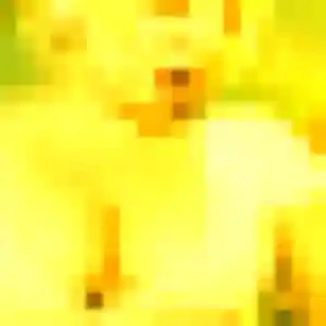 Romy, 22 ans, cherche un plan cul à Bourg