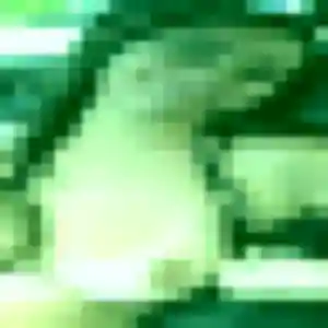 plan cul à Bourth : photo de Selma, 21 ans - sans engagement