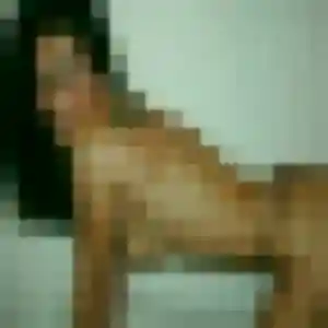 Découvre Amandine, 27 ans à Boussens en privé