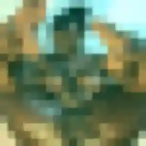 Charmante Lena, 33 ans à Bréal-sous-Montfort - découvrir son profil