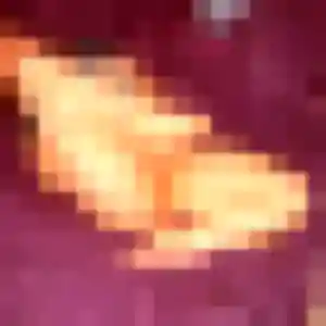 Leila, 24 ans, en ligne à Brignac pour une rencontre coquine