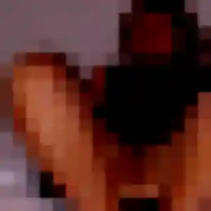 Photo exclusive de Sarah, 19 ans à Brignac - plan discret