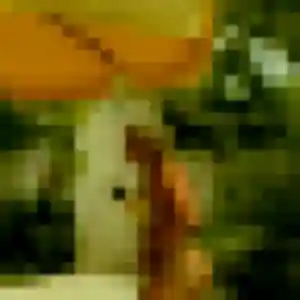 Clemence (20 ans) à Buais-Les-Monts cherche un plan cul ce soir