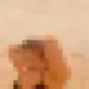 Photo de Anissa à Calais (33 ans) - plan cul anonyme